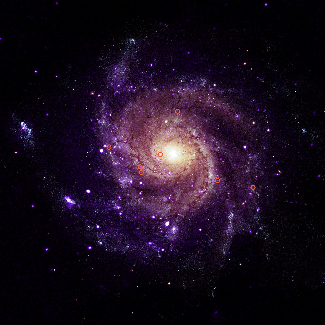 NASA Chandra found 84 mystery X-ray objects